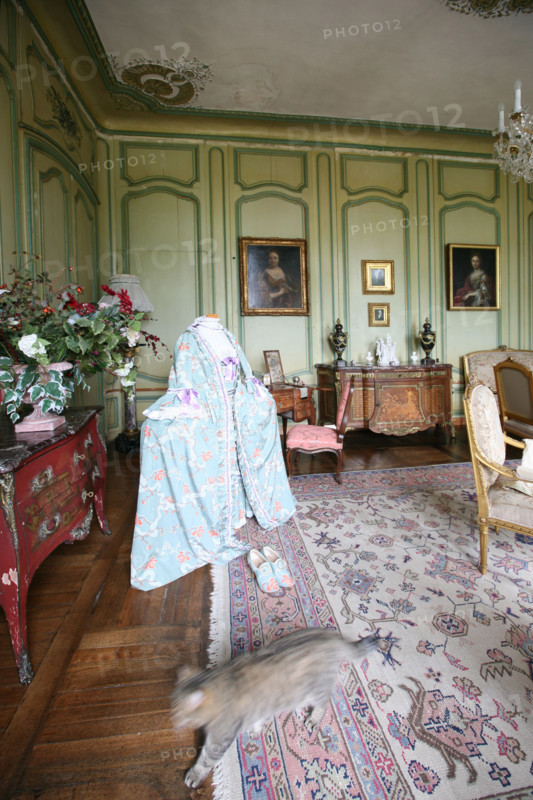 France, Normandie, Seine Maritime, pays de Caux maritime, ermenouville, chateau de Mesnil geoffroy, salon, robe du 18e siecle et chat qui passe, costume historisque destinee a des soiree d'epoque,