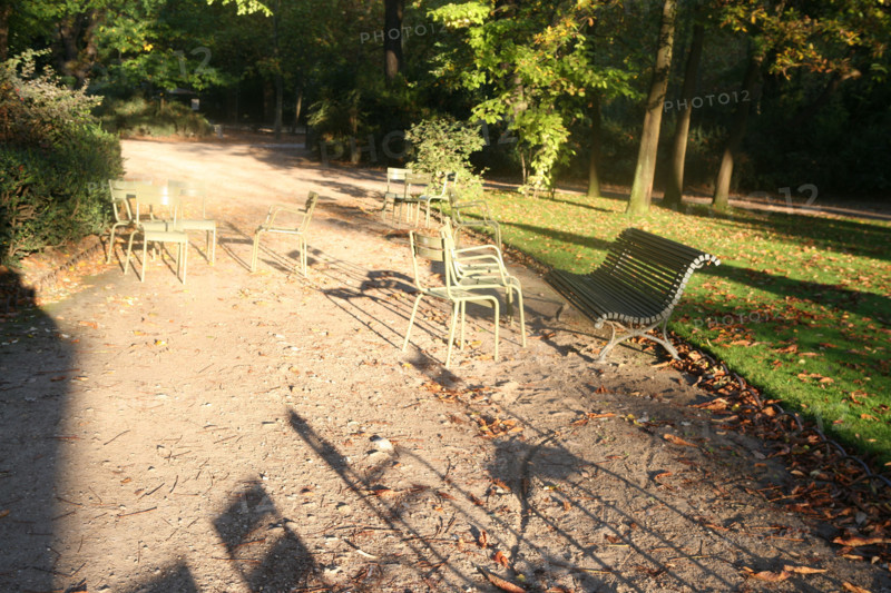 France, Paris 6e, jardin du Luxembourg, chaises vides, allee ombragee, arbres,