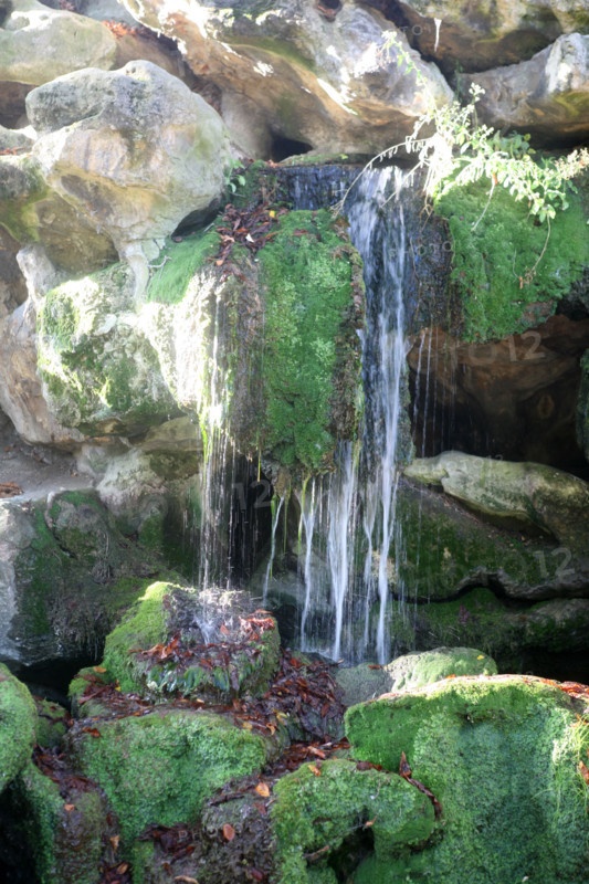 France, garden
