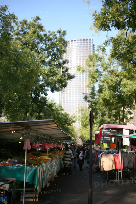 France, Paris 14e, boulevard edgar quinet, marche, Tour Montparnasse au fond, arbres,