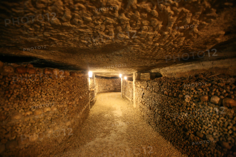 France, bones