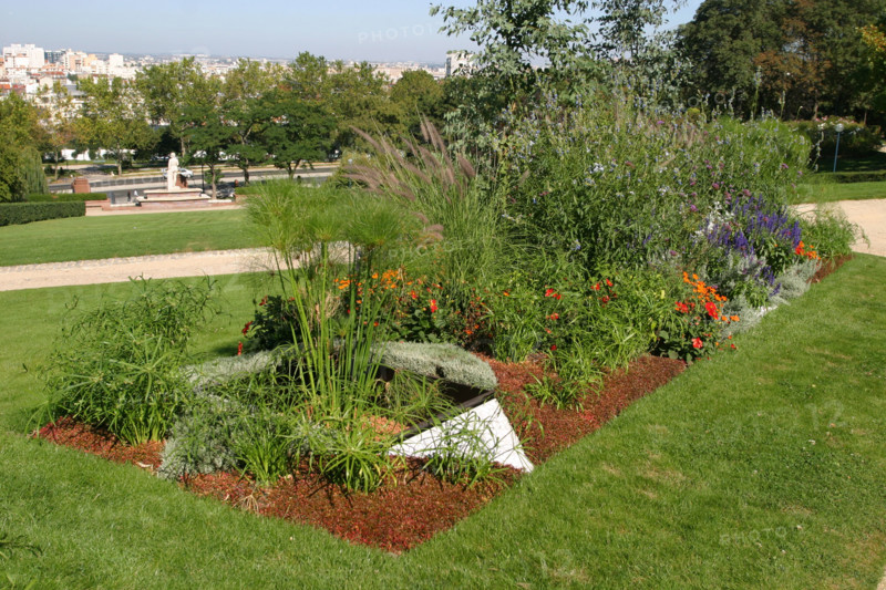 France, Paris 19e, parc de la butte du chapeau rouge, boulevard d' algerie, jardin public,