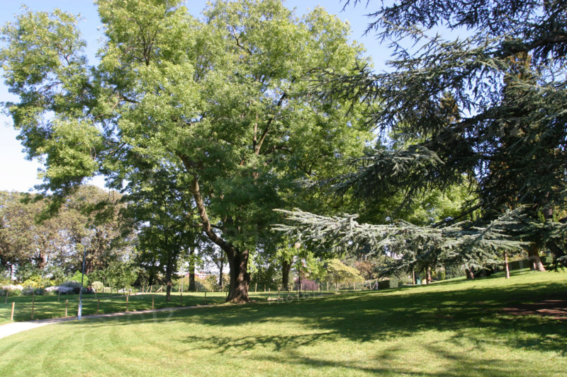 France, Paris 19e, parc de la butte du chapeau rouge, boulevard d' algerie, jardin public,
