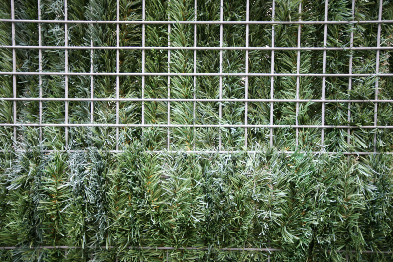France, tree branches passing through a fence