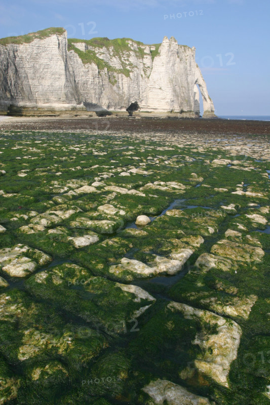 France, Normandie, Seine Maritime, cote d'albatre etretat, falaise d'aval, maree basse, plage, algues,