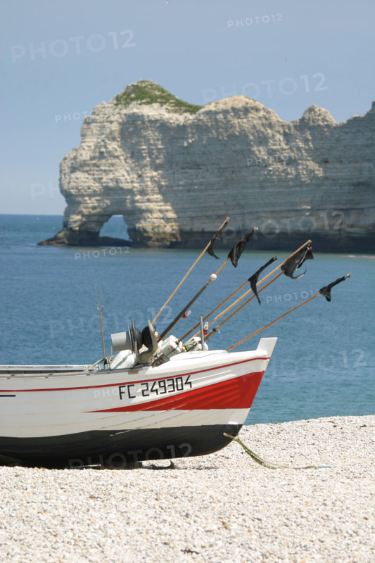 France, cote d'albatre