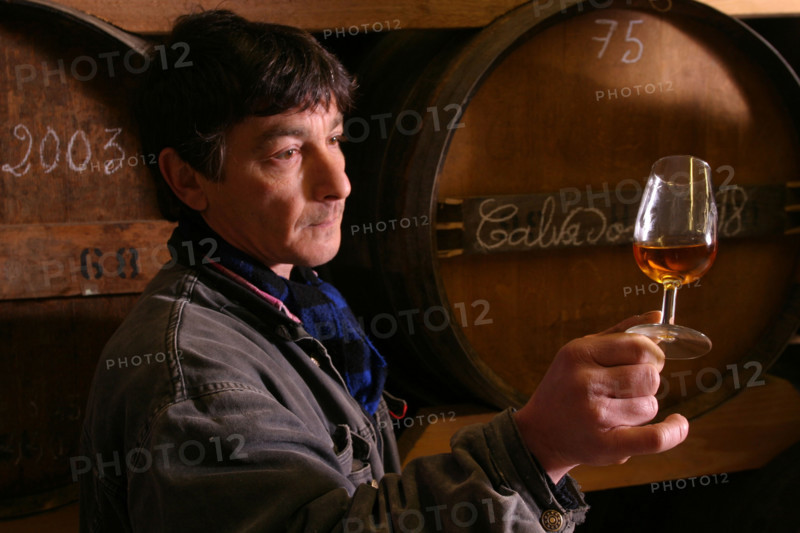 France, Normandie, Seine Maritime, pays de bray, bremontier merval, chateau de Merval, lycee agricole, 
Francois, Maitre de chai, calvados, verre, tonneau, controle visuel, alcool, spiritueux,