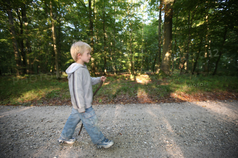 France, Normandie, Seine Maritime, pays de bray, les ventes saint remy, le chemin des ecoliers, foret, enfant 6 ans marchant, personnage autorise,