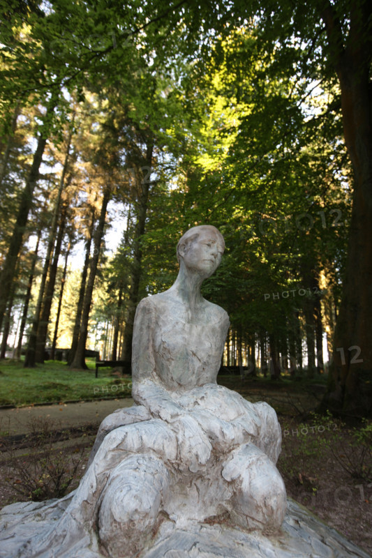 France, pays de bray