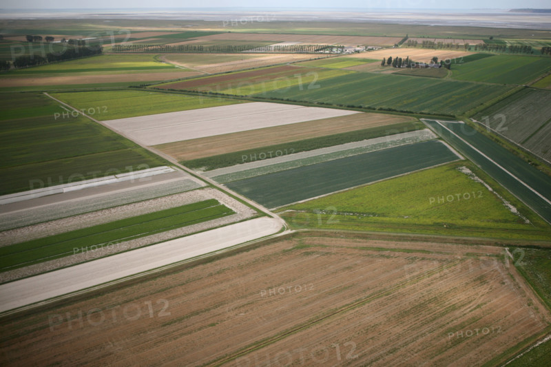 France, Basse Normandie/Bretagne, Manche/ Ille et Vilaine, baie du Mont-Saint-Michel, vue aerienne, polders, agriculture, champs,