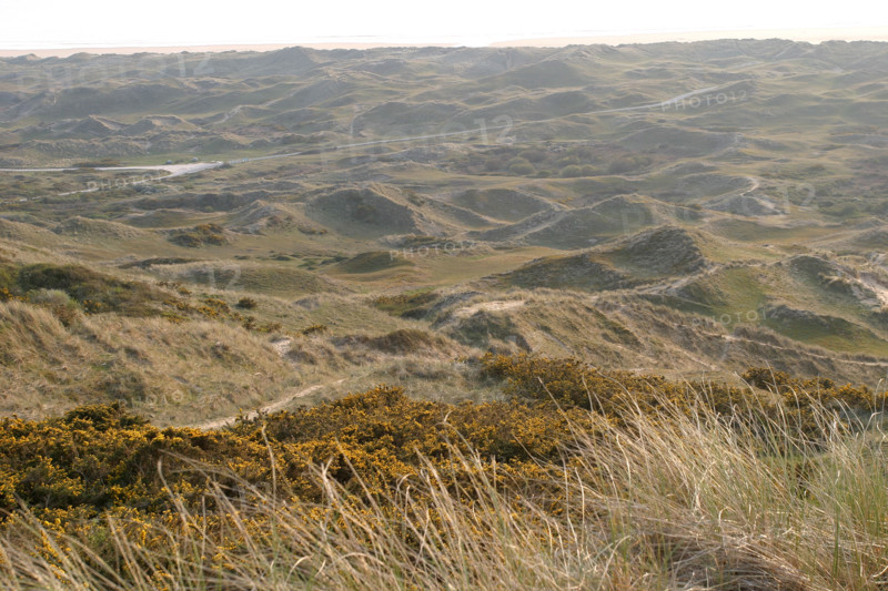 France, Basse Normandie, Manche, Cotentin, cap de la hague, dunes de biville, anse de vauville, sable, conservatoire du littoral, paysage, panorama,