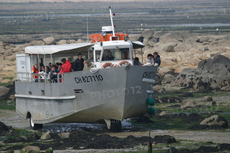 France, Basse Normandie, Manche, val de saire, ile tatihou, face a saint vaast la hougue, conservatoire du littoral, vehicule amphibie, maree basse,