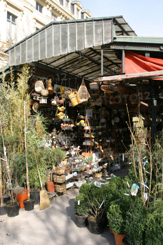 France, Paris 4e, ile de la cite, marche aux fleurs, place louis lepine, commerce,