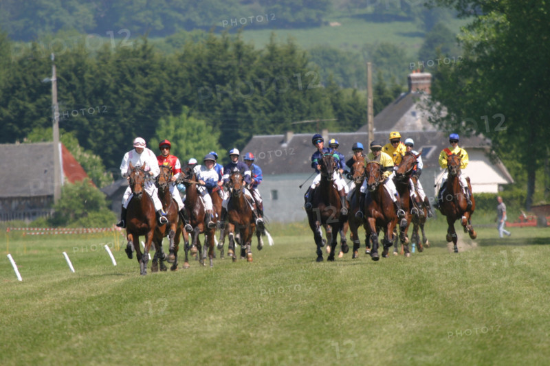 France, Basse Normandie, calvados, pays d'auge, dozule, courses de trot, hippodrome, courses, cheval, pmu, piste herbe,