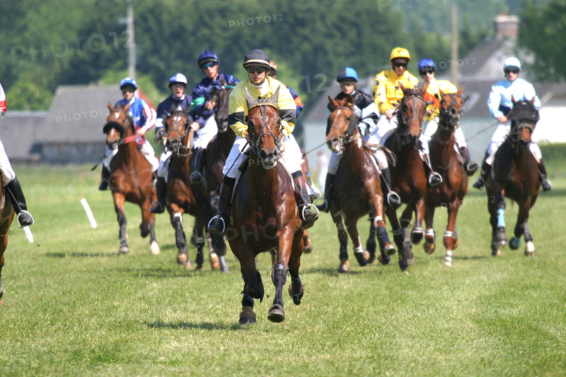 France, Basse Normandie, calvados, pays d'auge, dozule, courses de trot, hippodrome, courses, cheval, pmu, piste herbe,