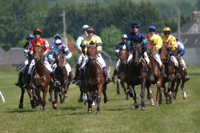 France, Basse Normandie, calvados, pays d'auge, dozule, courses de trot, hippodrome, courses, cheval, pmu, piste herbe,