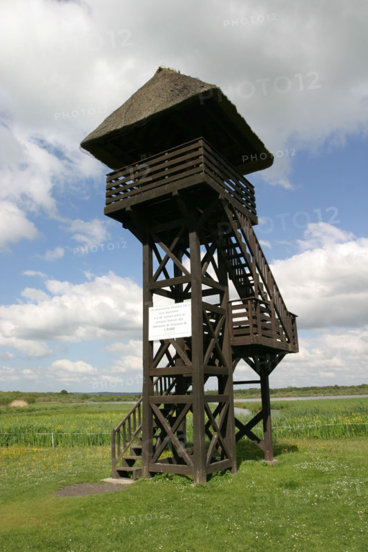 France, marais vernier