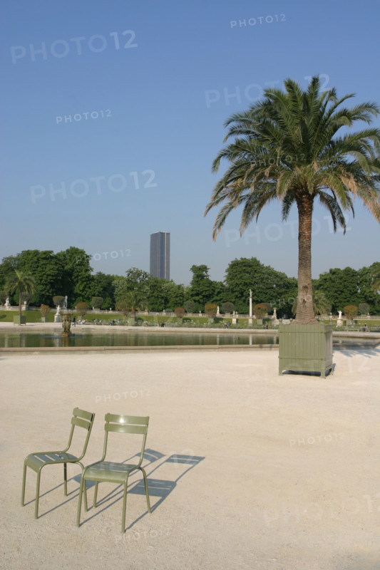 France, Paris 6e, jardin du Luxembourg, chaises vides, bassin, palmier, Tour Montparnasse au fond,
