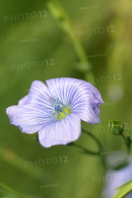 France, agriculture