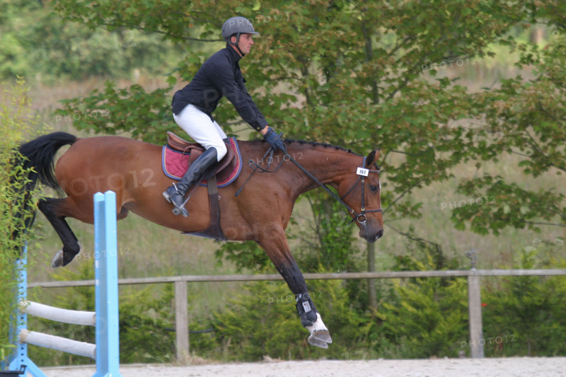show jumping,