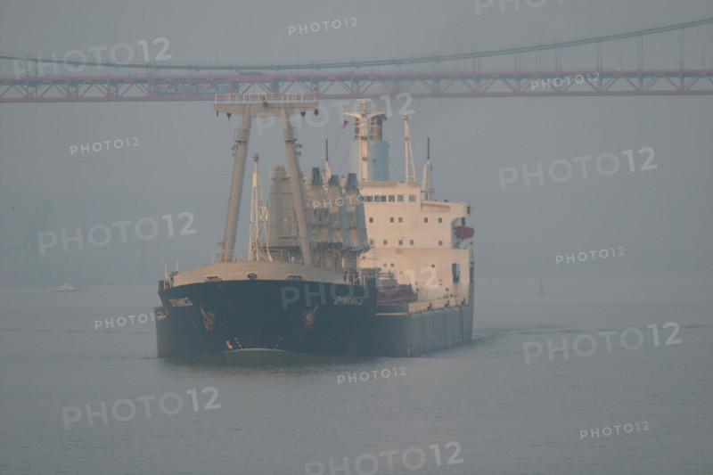 France : Normandie, Seine Maritime, vallee de la Seine, grand port de mer de Rouen, montee de Seine, cargo Dynamic G sous le pont de Tancarville