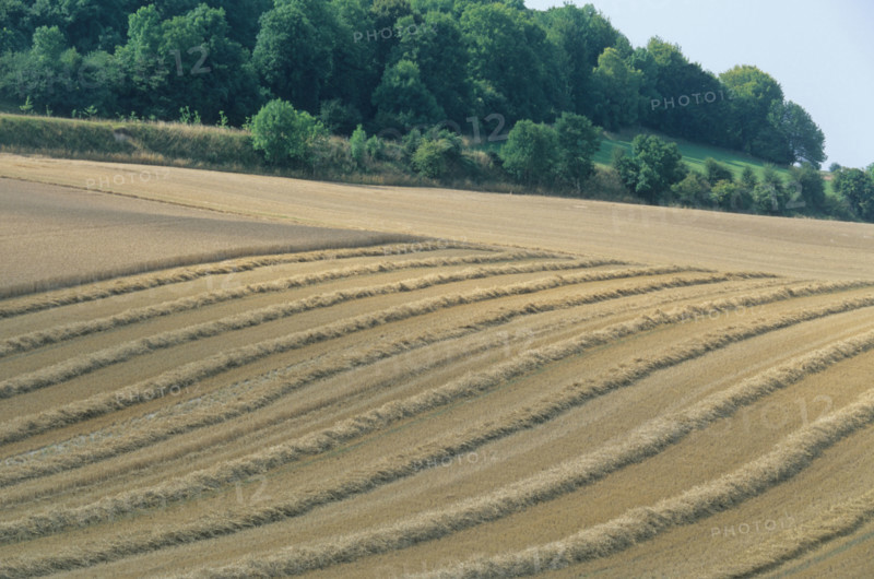 France, landscape