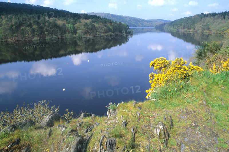 France, Bretagne, Cotes d'Armor, lac de Guerledan, plan d'eau amenage, rochers, genets,