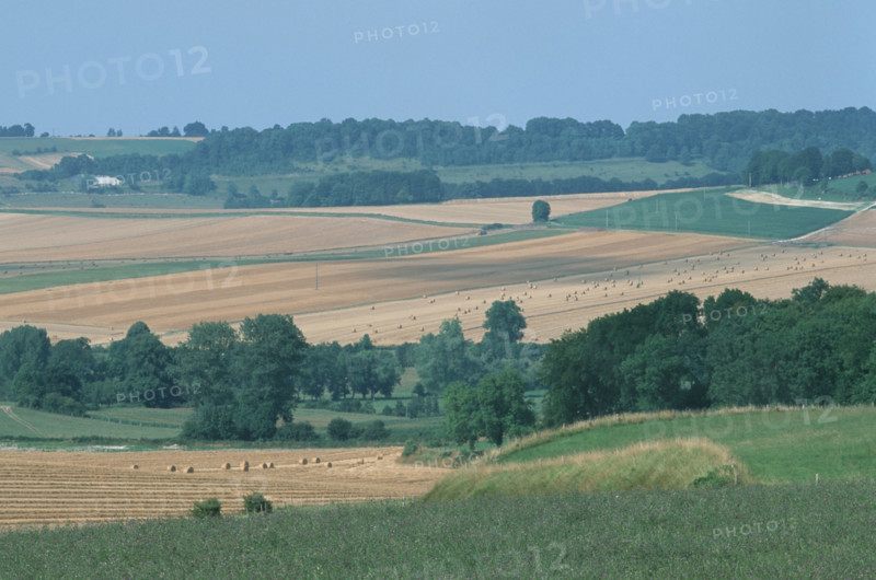 France, Haute Normandie, Seine Maritime, paysage du pays de bray en ete, bures en bray, agriculture, champs, village,