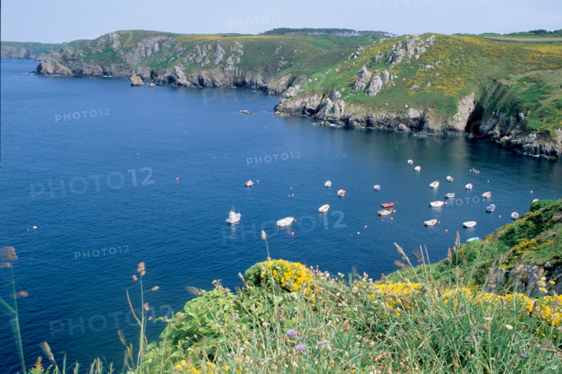 France, Bretagne, Finistere sud, Cap Sizun, Cornouaille, pointe de brezellec, anse, petits bateaux, vegetation,