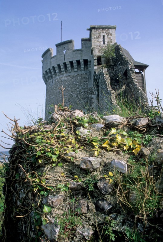 France, Haute Normandie, Seine Maritime, vallee de la Seine, moulineaux, chateau de robert le diable, chateau fort, duc de Normandie, vestige, forteresse, ruine, vikings,