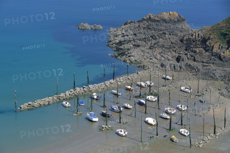 France, Bretagne, Cotes d'Armor, cote du goelo, plouha, port sur pilotis de Gwin Zegal, maree basse,