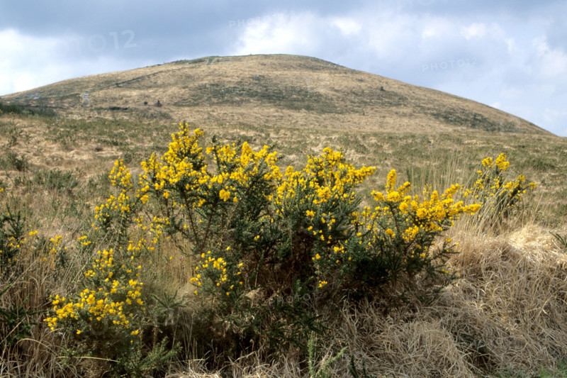 France, Bretagne, Finistere, monts d'arree, paysage, rochers, lande sauvage, Montagne Saint Michel