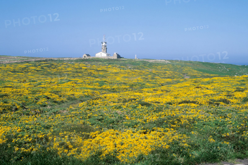 France, cap sizun