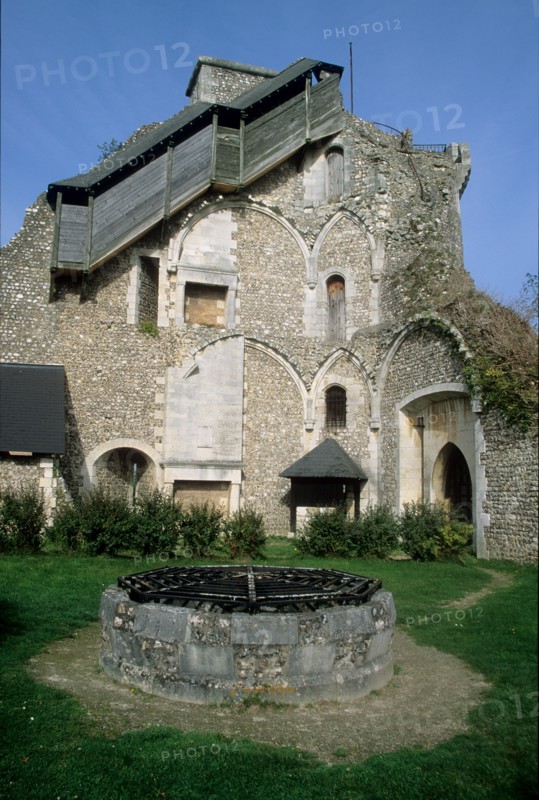 France, Haute Normandie, Seine Maritime, vallee de la Seine, moulineaux, chateau de robert le diable, chateau fort, duc de Normandie, vestige, forteresse, ruine, vikings,