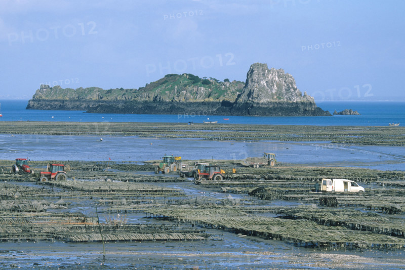 France, Land of the Mont Saint-Michel bay
