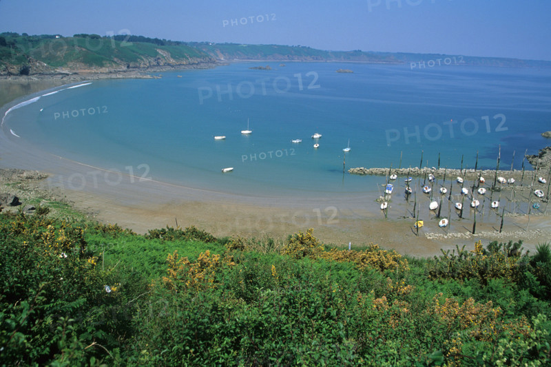 France, Bretagne, Cotes d'Armor, cote du goelo, plouha, port sur pilotis de Gwin Zegal, maree basse,