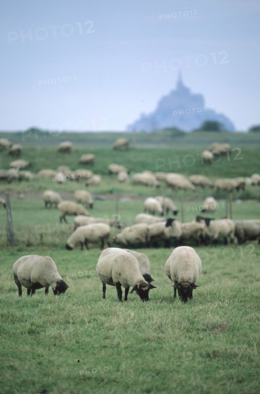 France, Land of the Mont Saint-Michel bay