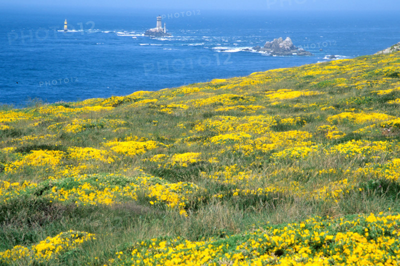 France, cornwall