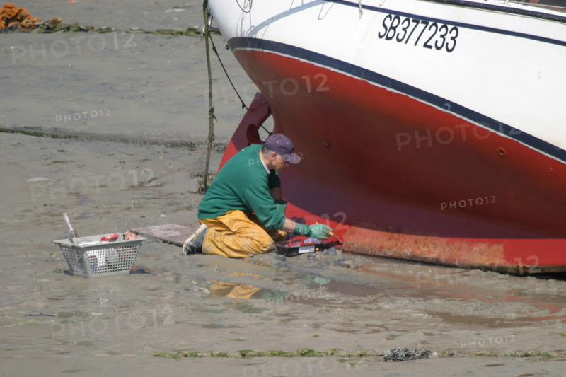 France, Bretagne, Cotes d'Armor, cote d'Emeraude, erquy, port de peche, maree basse, bateau echoue, homme entretenant sa coque, antifouling, peinture,