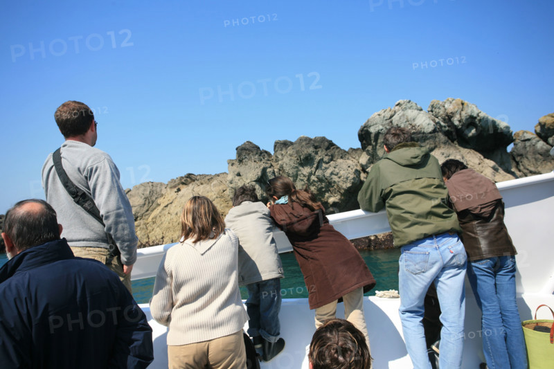 France, Bretagne, Cotes d'Armor, cote de granit rose, les sept iles, croisiere aux sept iles
ile Rouzic, colonie de fous de bassan, spectaeur sur uen vedette,