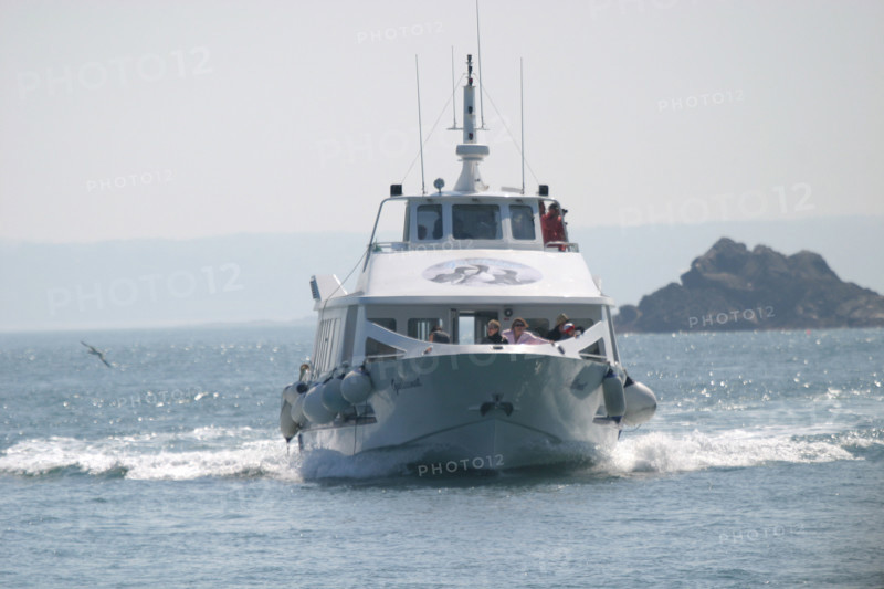 France, Bretagne, Cotes d'Armor, cote de granit rose, les sept iles, croisiere aux sept iles, vedette,