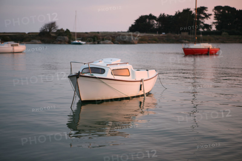 France, Bretagne, Cotes d'Armor, cote de granit rose, Tregastel, petits bateaux de palisance, maree haute, lever de soleil, ile Renote