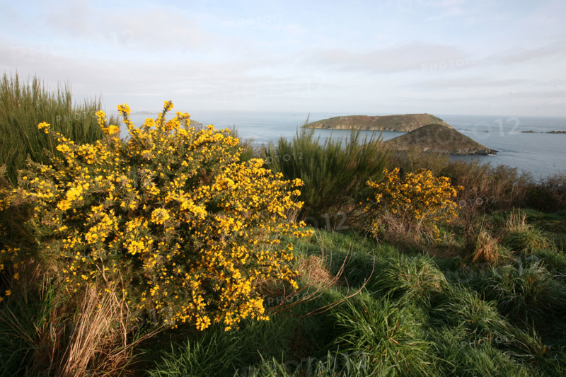 France, Bretagne, Cotes d'Armor, baie de Paimpol, cote du goelo, sentier des douaniers pointe de bilfot, vue panoramique,