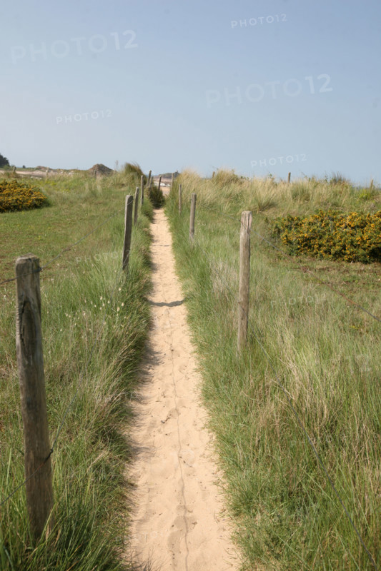 France, Bretagne, Cotes d'Armor, cote d'Emeraude, sables d'or les pins, la plage, chemin littoral dans les dunes