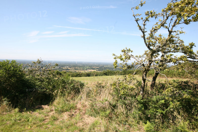 France, Bretagne, Cotes d'Armor, mene bre, vue depuis le sommet,