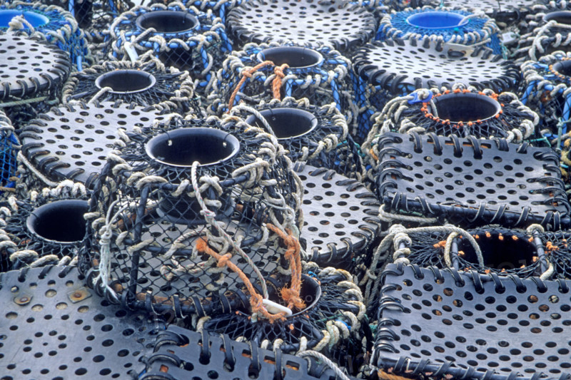 France, Bretagne, Finistere, nord, brest, port de commerce, detail casiers, peche aux crustaces,
