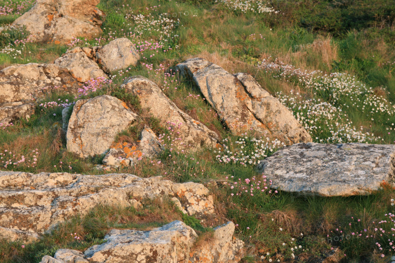 France, cornwall