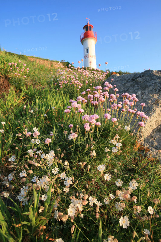 France, cornwall