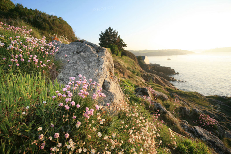 France, Bretagne, Finistere sud, Cornouaille, port manech, embouchure de l'Aven et du Belon, au fil du sentier littoral, rochers,