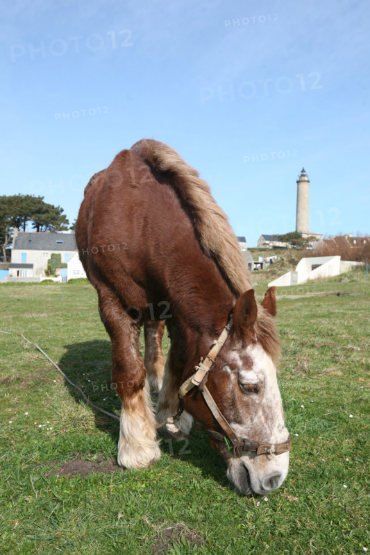 France, pays du leon